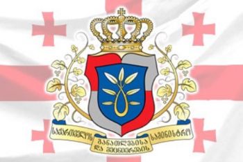 თამარ სანიკიძე თბილისის სახელმწიფო და კერძო უმაღლესი სასწავლებლების 200 სტუდენტს შეხვდა