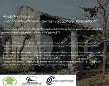 „აქტიური ახალგაზრდობა-დაცული კულტურული მემკვიდრეობა"