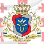 თამარ სანიკიძე თბილისის სახელმწიფო და კერძო უმაღლესი სასწავლებლების 200 სტუდენტს შეხვდა