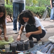 „პარტიზანული მებაღეობა“ ვაკის პარკში და სახელობითი ნარგავები 