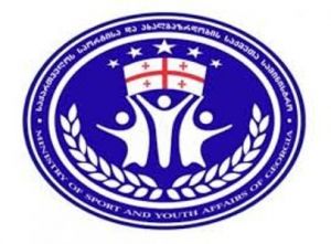 საქართველოს სპორტისა და ახალგაზრდობის საქმეთა სამინისტროს 2013 წლის შემაჯამებელი ანგარიში